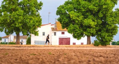 Ancient farm in Spain gets UN recognition