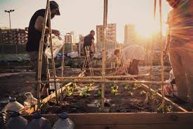 horta valencia UN farm in spain