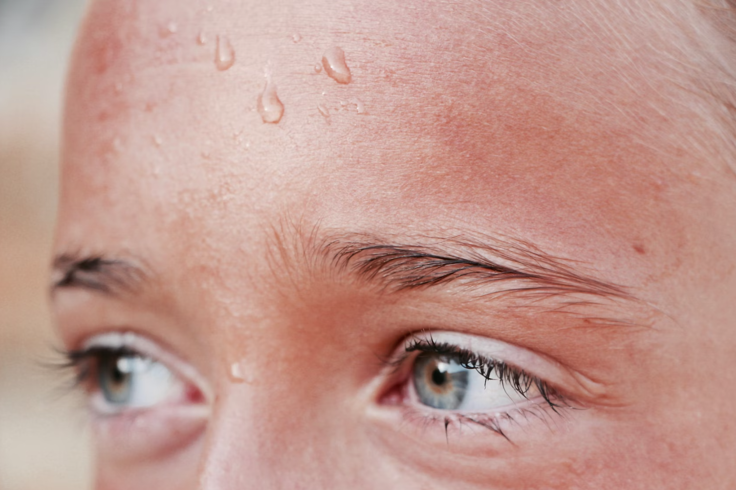 climate change, global warming, hottest years on record, Earth’s energy imbalance, carbon dioxide, atmospheric CO2, greenhouse gases, ocean heat, extreme weather, heatwave, fossil fuels, warming planet, WMO report, climate science, rising temperatures