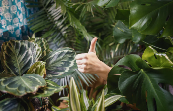 Improving the air quality of your home starting with your AC unit