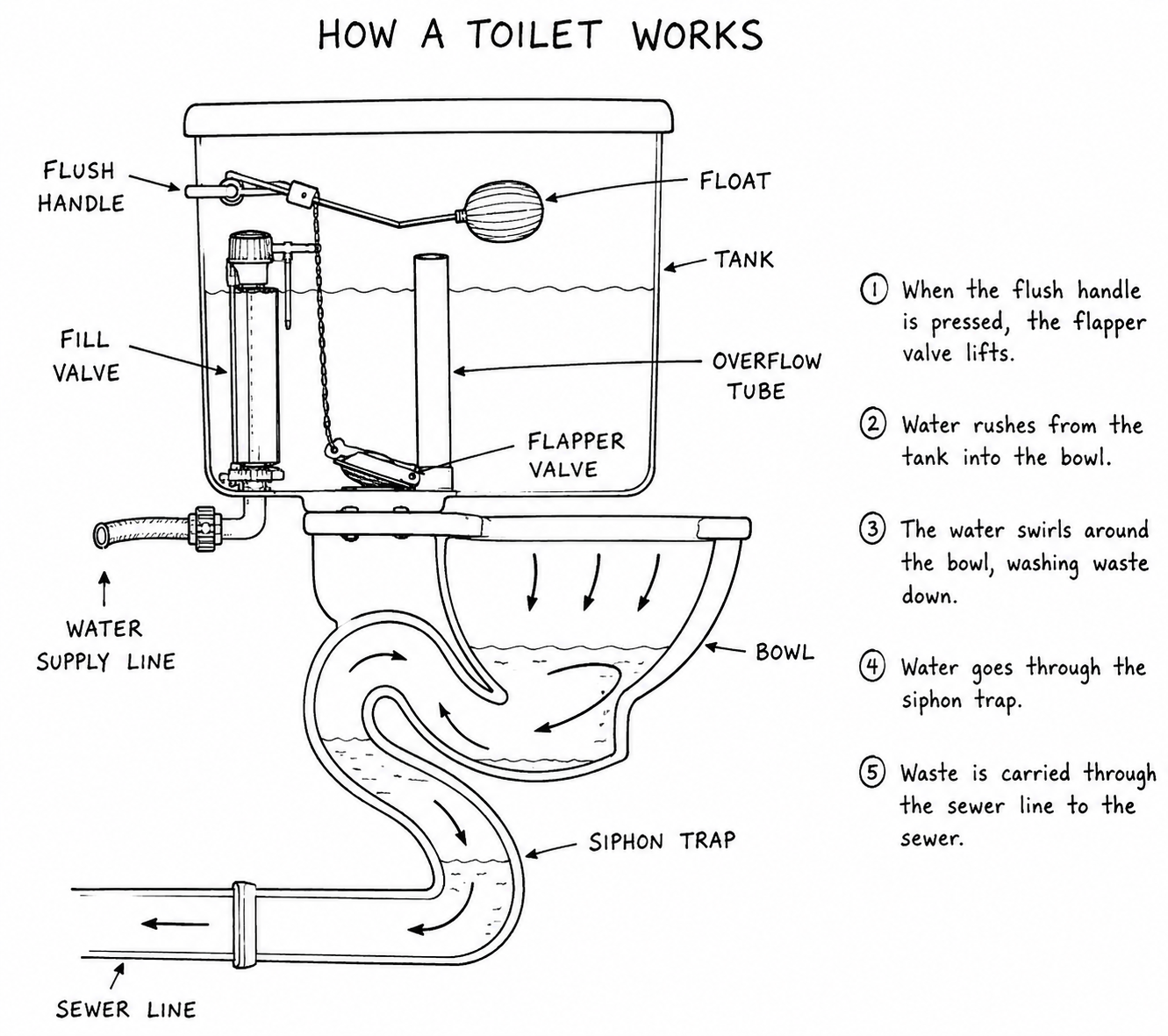How a toilet works diagram