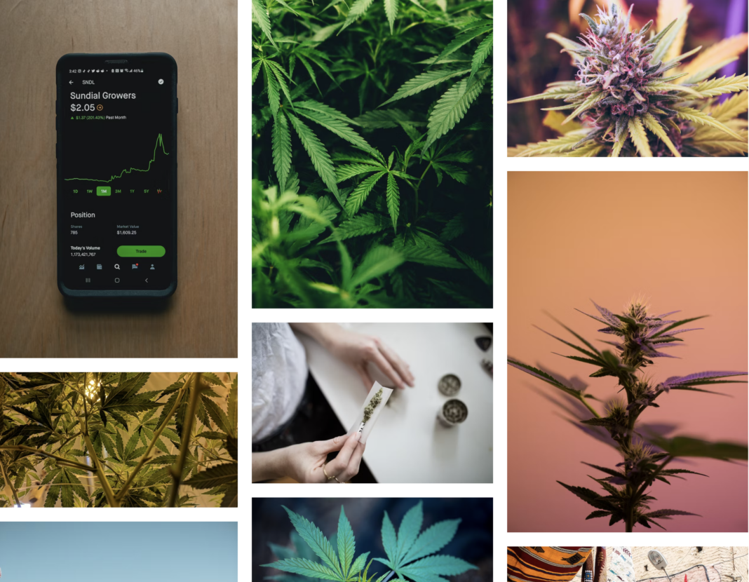 How to invest in cannabis stocks