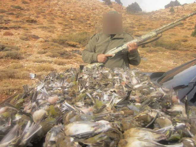 hunted wild birds in Lebanon
