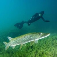 Hydrophilis, Oliver Isler’s experimental rebreather suit, reimagines diving by reducing drag, eliminating bubbles, and bringing humans closer to the natural movement of marine life.