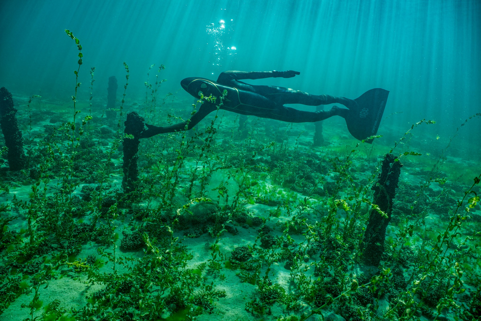 Dive into the past... Palaffitic site of Preverenges Lake Léman. The pilots date from the ancient bronze (1770 - 1600 BC. J.C. ! ). These sites are UNESCO World Heritage Site.A big hat to MAURO ZURCHER for making these beautiful photos in difficult conditions. Bravo! A dive into the past... Préverenges Pile Dwelling Site, Lake Geneva. The piles date back to the Early Bronze Age (1770-1600 BC!). These sites are listed as UNESCO World Heritage Sites.