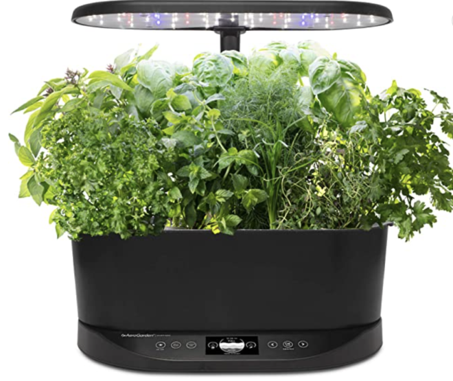 Indoor hydroponic herb garden, for herbs and medical cannabis