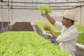 International airports source local farm food in 30 countries