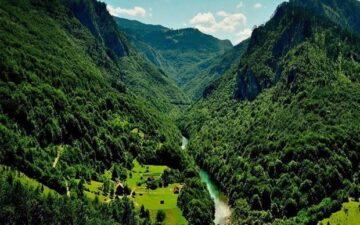 UNESCO forest being developed in Iran