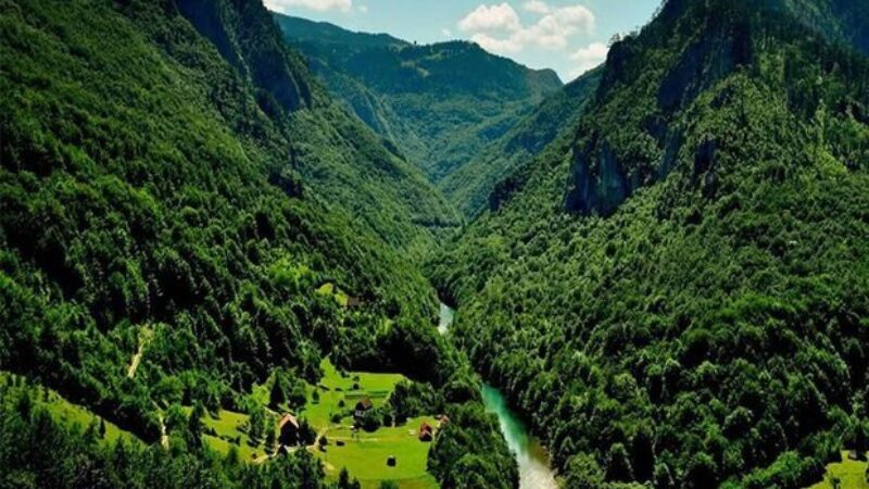 UNESCO forest being developed in Iran