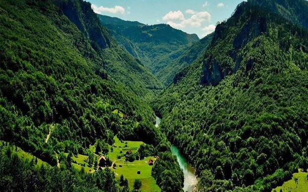 Hyracanian Forest Iran
