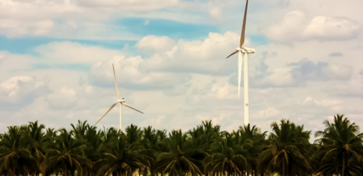 india-wind-turbines.png