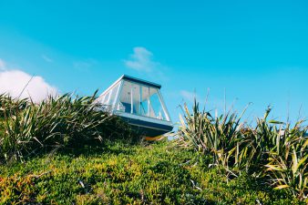 The Best Cannabis Strains For Beginner Growers