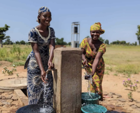 Charitable Vehicles for Families: Foundations, Funds, and LLCs