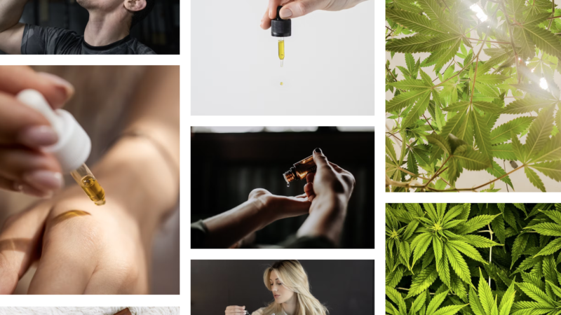 Cannabis and autism in children, a new study supporting the trends