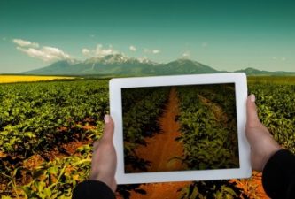 Farmville in the real world as Israel puts Agritech’s IT into agriculture