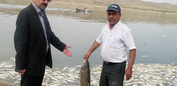 iran-fish-dead.jpg