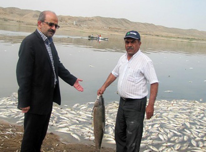 iran-fish-dead