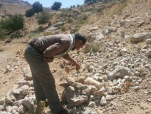 Iranian gives two decades of his life to the Oaks