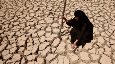 Climate change disasters doubled – eating up world’s food security