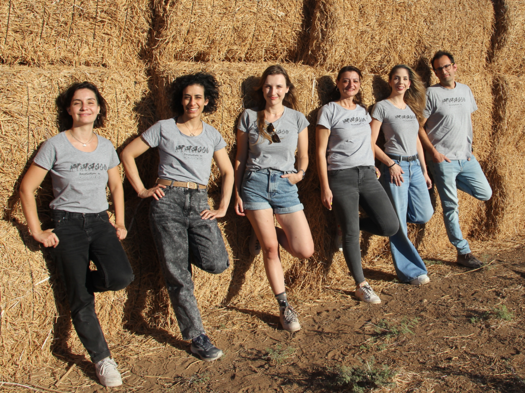 A new stretchy vegan cheese by DairyX