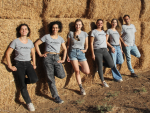 A new stretchy vegan cheese by DairyX