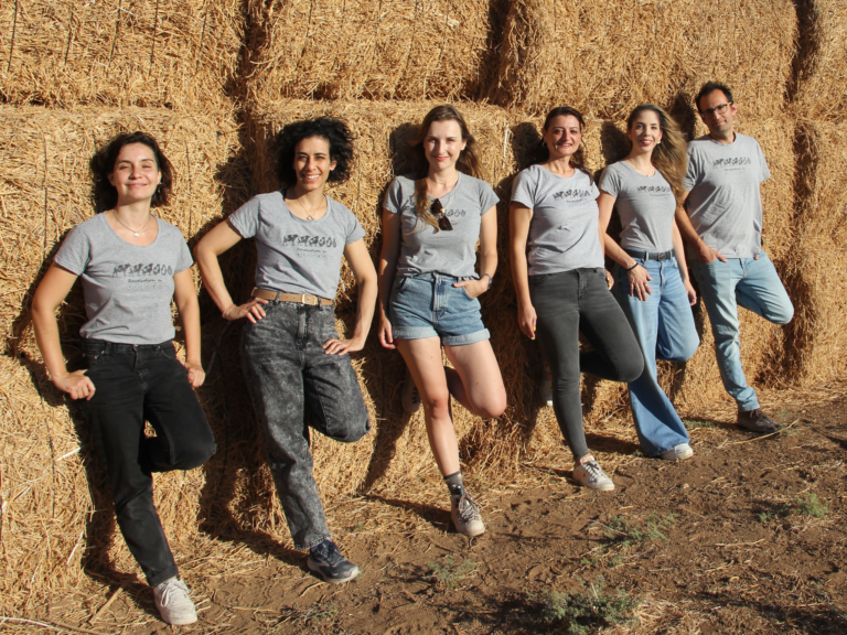 A new stretchy vegan cheese by DairyX