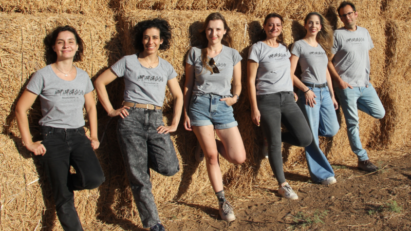 A new stretchy vegan cheese by DairyX