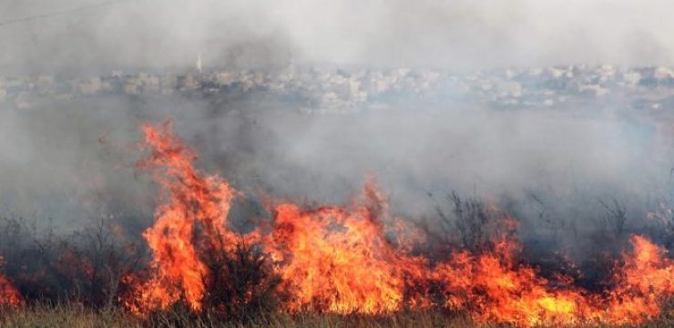 israeli-brush-fire.jpg