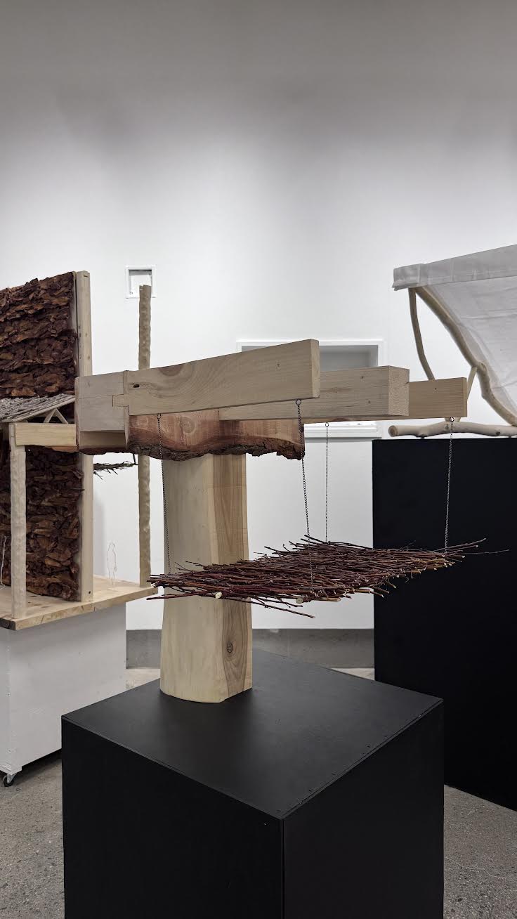 How Torvinen Jaakko's ugly wood can lay the foundations for green ...