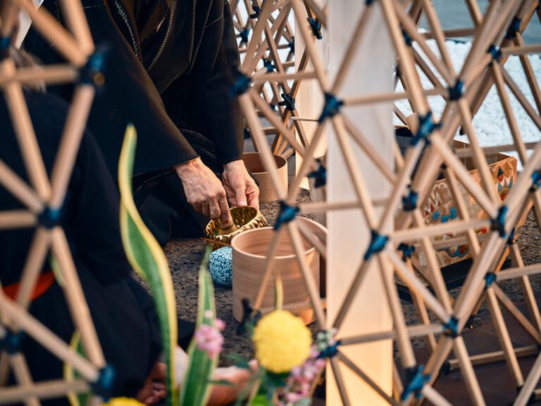 Four Long-Term Ways to Control Pigeon Population