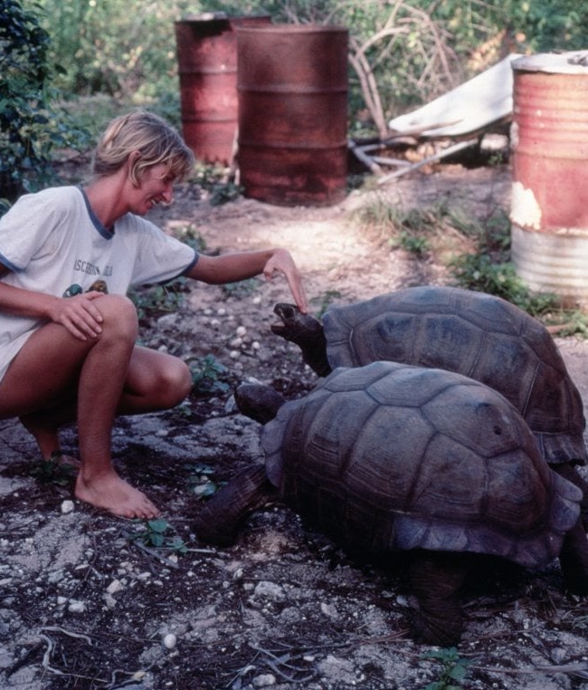 Jeanne Mortimer in her early days with the tortoises and turtles in the Seychelles