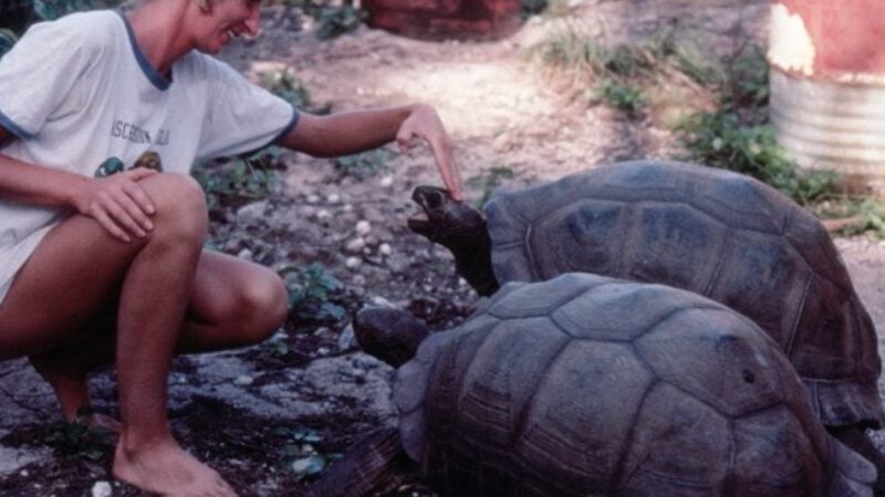 They Call Her Madam Torti. She Might Be the Only One Who Can Save Seychelles Turtles