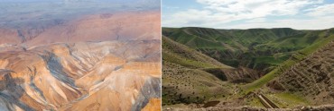Judean desert goes spectacularly green in wake of winter storms (PHOTOS)