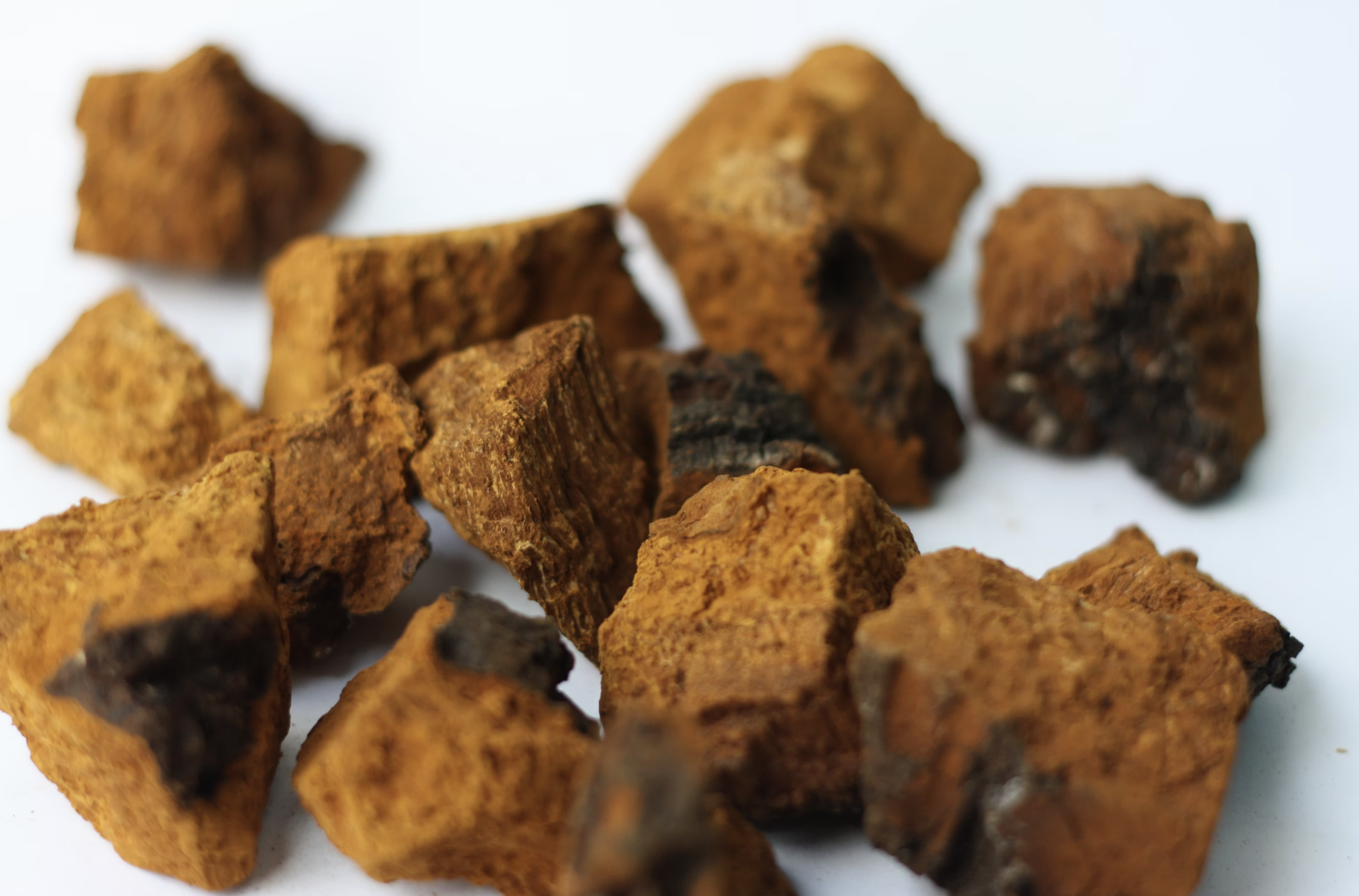 chaga chunks king