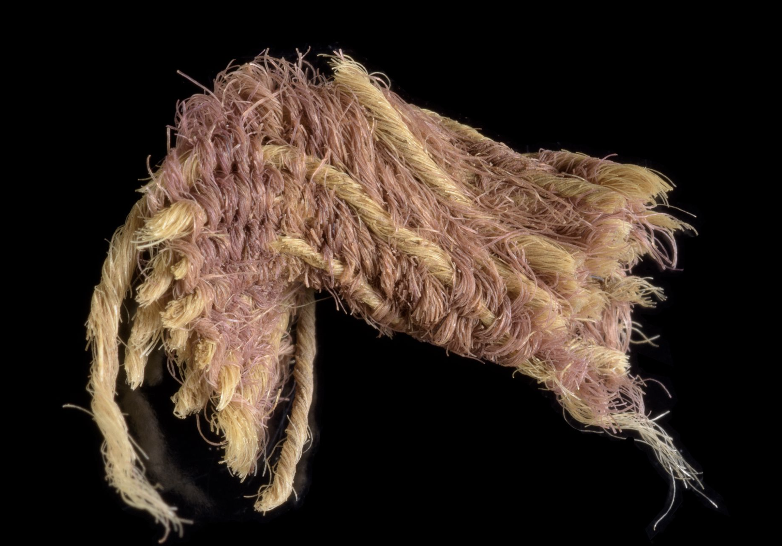 purple loth from king david, tassels and dyed rare purple, from Timna copper mines