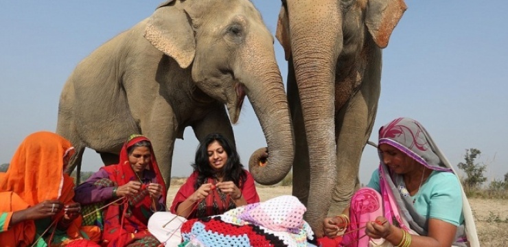 knitting-for-elephants.jpg
