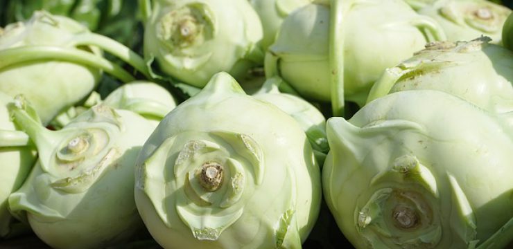 kohlrabi-318154_640-1.jpg