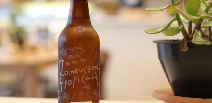 kombucha-3386823_1920.jpg