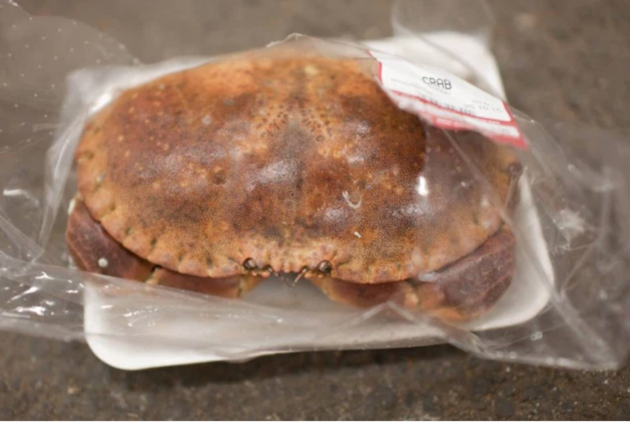 shrink wrap crab