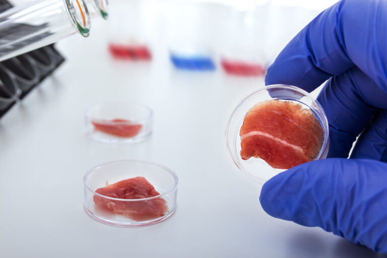 Could test-tube meat be the future of food?