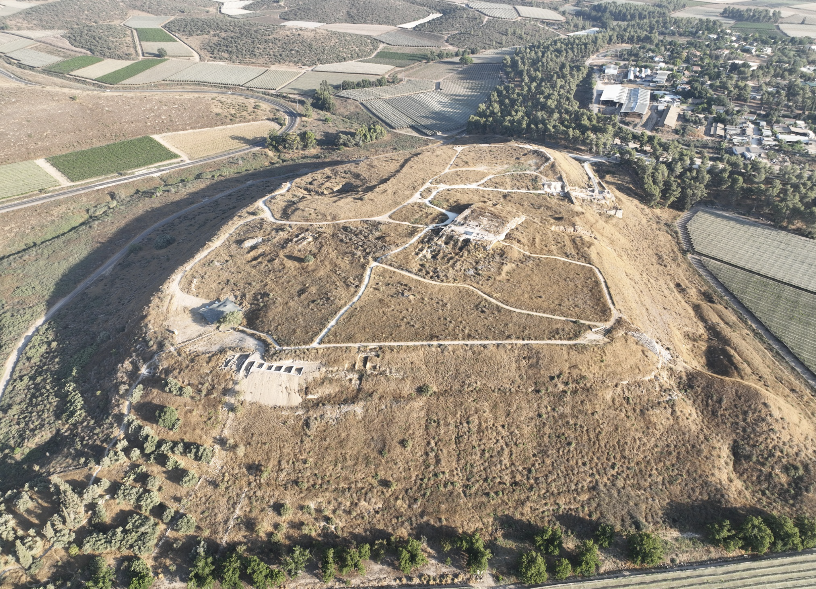 Tel Lachshish, lice comb, Israel