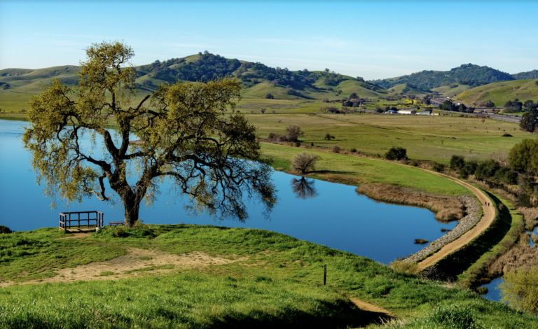Lagoon Valley for living intentionally with nature and purpose in the Bay