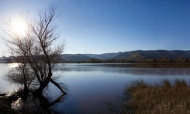 Rewilding the Suburb: Lagoon Valley’s Profound Plan for Conservation Community in California–– An Interview with Developer Curt Johansen