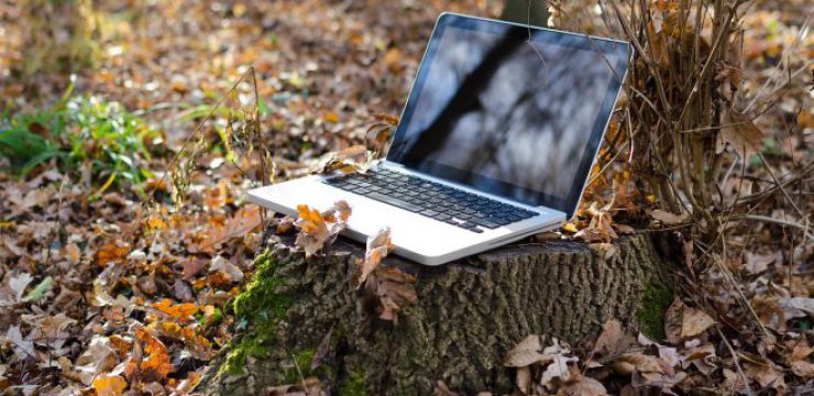 laptop-in-the-leaves.jpg