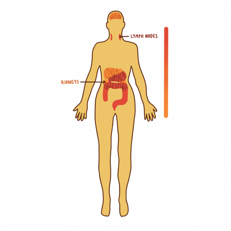 HIV donors give their bodies in a new science experiment