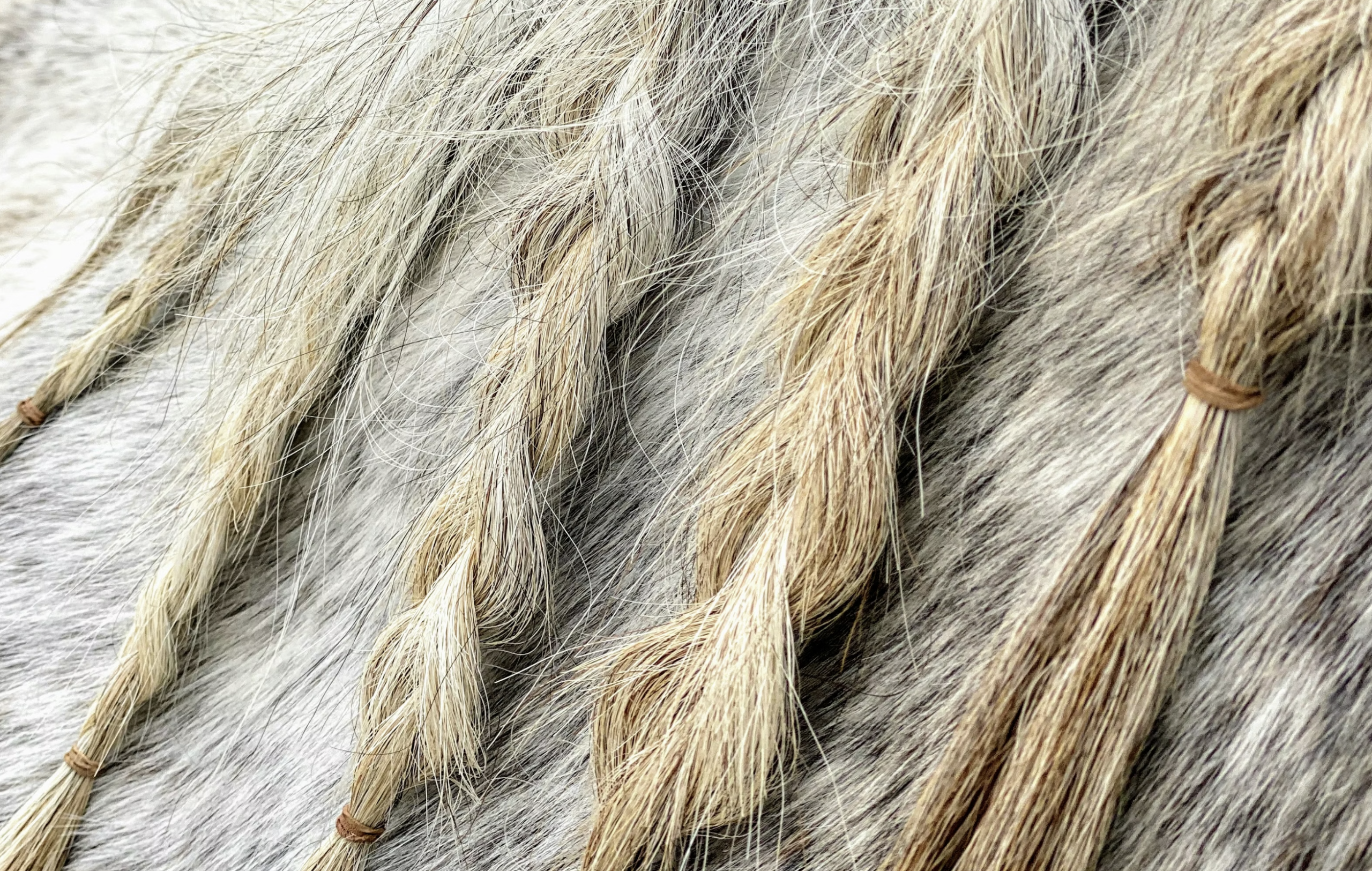 Lead in the hair has been decreasing for decades: image illustrative. 