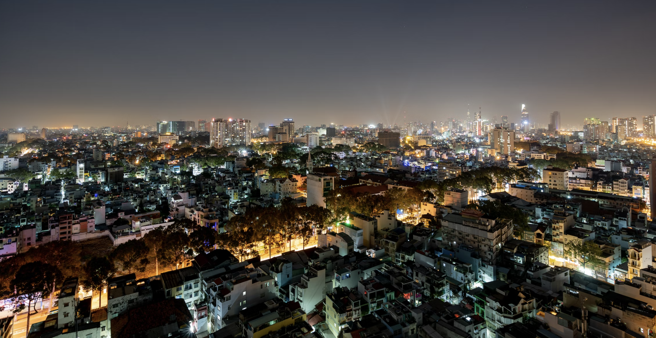 light pollution in vietnam, lights hurting mammals at night