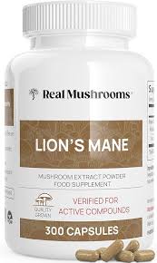 lion's mane mushroom supplement