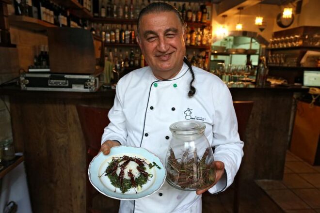 Locust cooking recipes, how about on hummus?