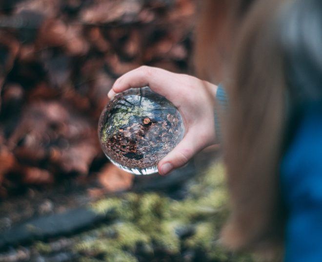 crystal ball, in the forest